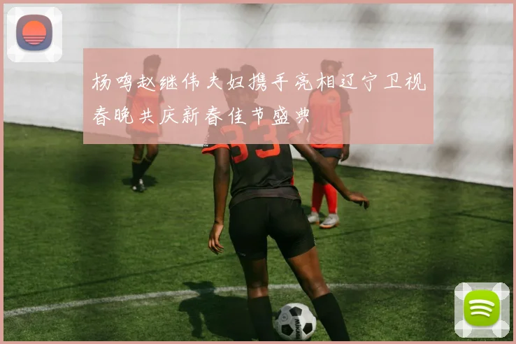 杨鸣赵继伟夫妇携手亮相辽宁卫视春晚共庆新春佳节盛典