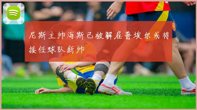 尼斯主帅海斯已被解雇普埃尔或将接任球队新帅